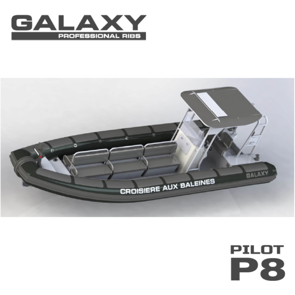 Gala Galaxy Pilot P8